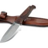 Benchmade Saddle Mountain Skinner - Hunt -Knife Hub Shop 15002 01 54752.1643728619