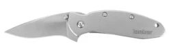 Kershaw 1620FL Scallion
