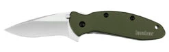 Kershaw 1620OL Scallion