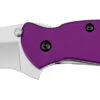 Kershaw 1620PUR Scallion -Knife Hub Shop 1620pur profile web.png 53021.1686082792
