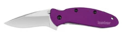 Kershaw 1620PUR Scallion