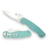 Spyderco Paramilitary 2 Teal G-10 -Knife Hub Shop PhotoRoom 20230926 122724 00096.1695749484